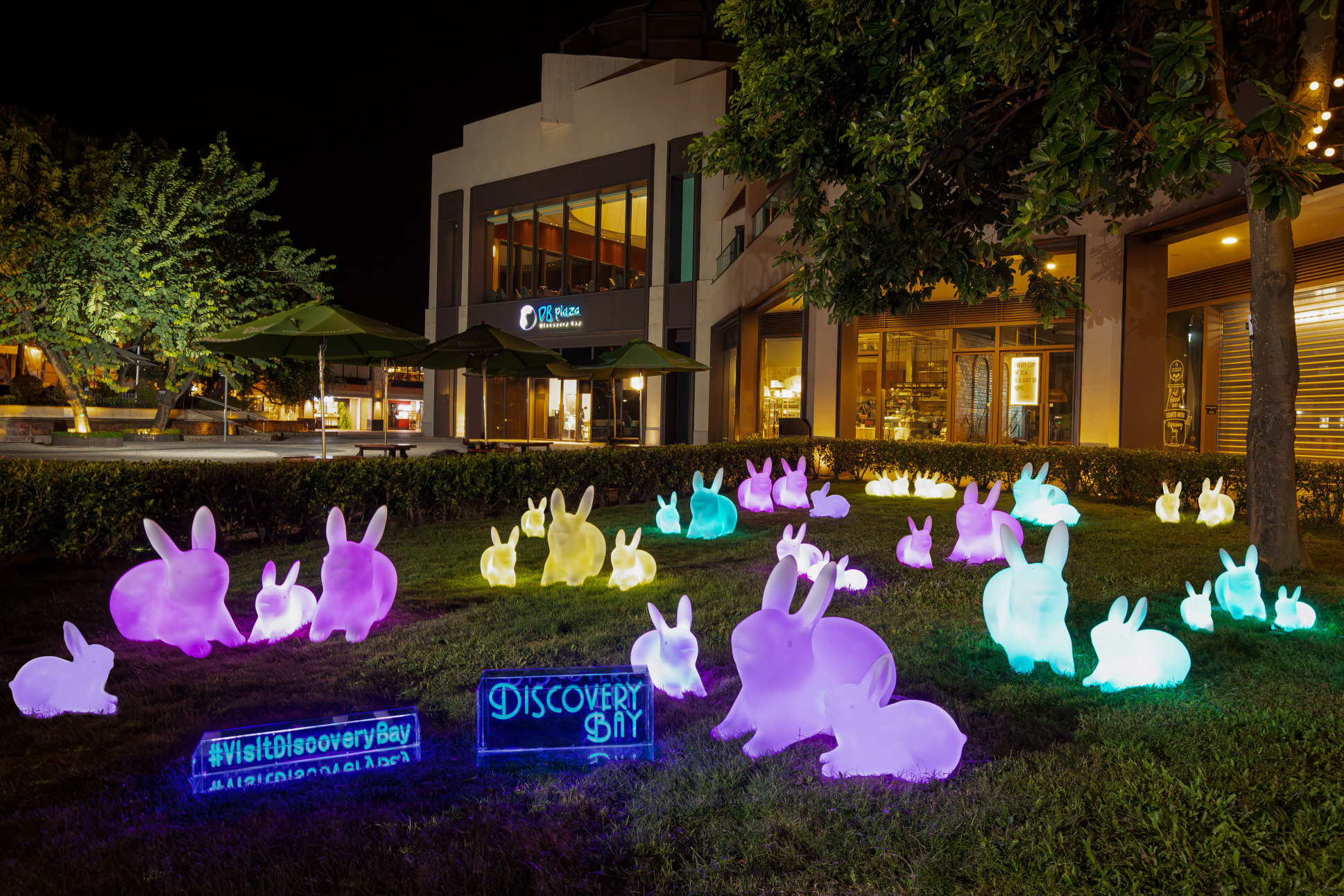 Glowing Bunnies Under the Moon @ Discovery Bay
